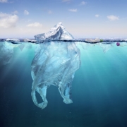 Destruction of Ecosystem