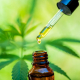CBD Oil