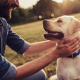 Man with Dog