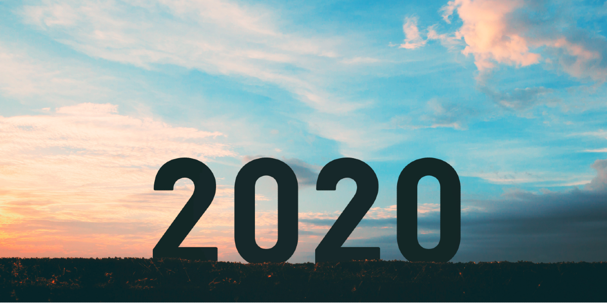 The Good Things That Happened in 2020 The National Digest