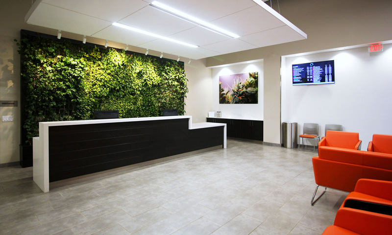 Christina Casile of Design 710