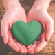 Green Heart Lifestyle