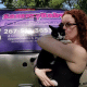 Gretchen Samuels SammyBaby Fur Babies Transportation