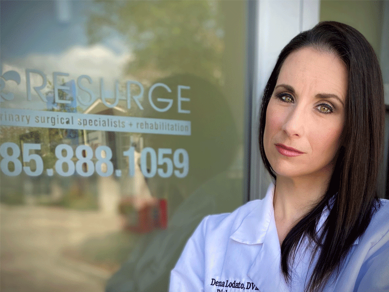Dr. Dena Lodato Resurge Veterinary Surgical Specialists and Rehabilitation Dr. Dena Lodato Resurge Veterinary Surgical Specialists and Rehabilitation