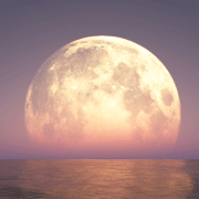 moon