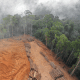 deforestation