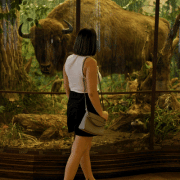 museum