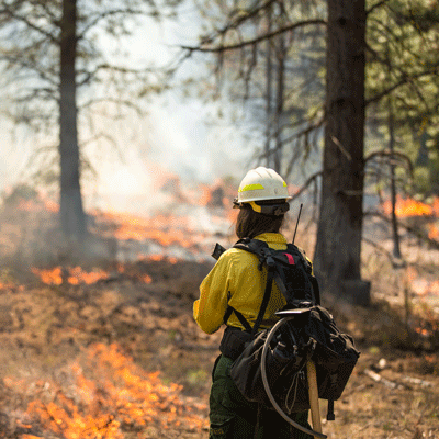 Firefighters Around The US Are Working To Contain Wildfires On Both ...