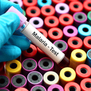malaria