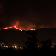 wildfires