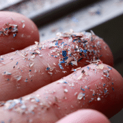 micro plastics
