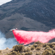 wildfires
