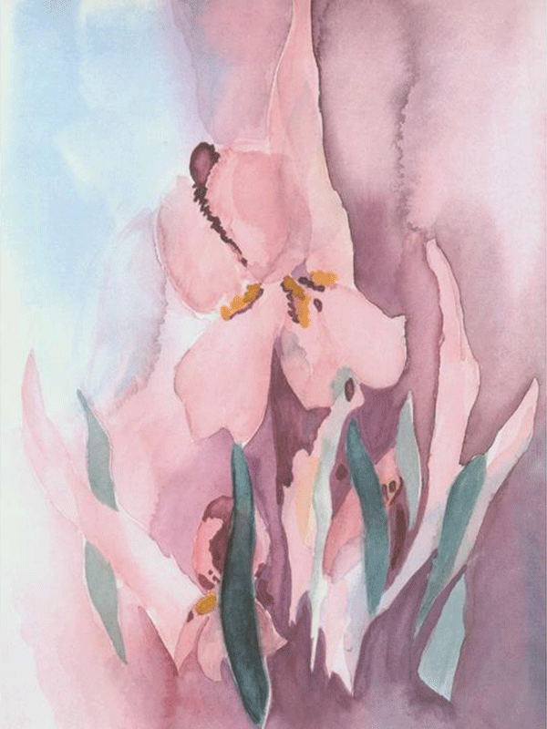 Marilyn l Redmond
