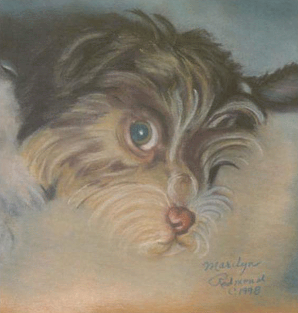Marilyn l Redmond