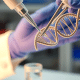 stem cell