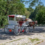 carriage