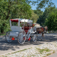 carriage