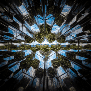 Olafur Eliasson