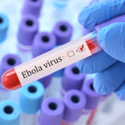 ebola