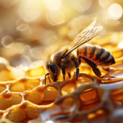 bees