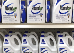 roundup