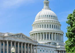 congress