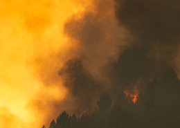 wildfire
