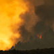 wildfire