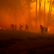 wildfires