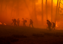 wildfires