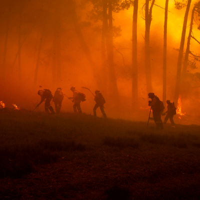 wildfires