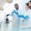 lab