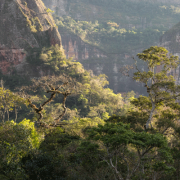 Bolivian Amazon